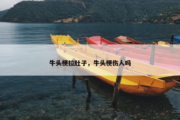牛头梗拉肚子，牛头梗伤人吗