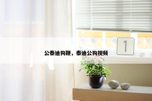 公泰迪狗鞭，泰迪公狗视频