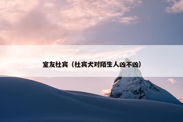 室友杜宾（杜宾犬对陌生人凶不凶）
