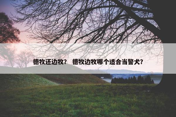 德牧还边牧？ 德牧边牧哪个适合当警犬？