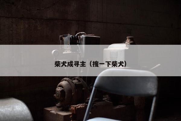 柴犬成寻主（搜一下柴犬）