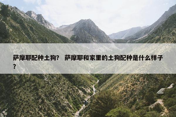 萨摩耶配种土狗？ 萨摩耶和家里的土狗配种是什么样子？
