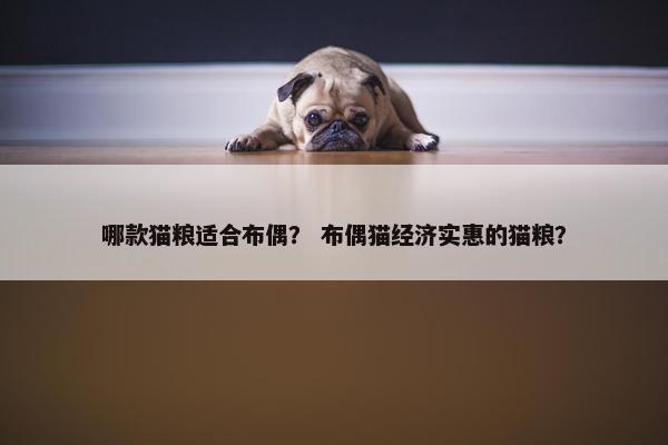 哪款猫粮适合布偶？ 布偶猫经济实惠的猫粮？