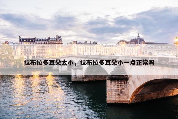 拉布拉多耳朵太小，拉布拉多耳朵小一点正常吗