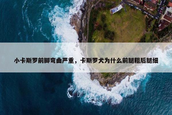 小卡斯罗前脚弯曲严重，卡斯罗犬为什么前腿粗后腿细
