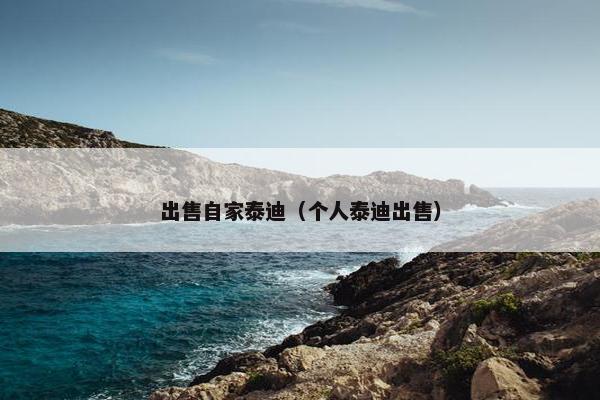 出售自家泰迪（个人泰迪出售）