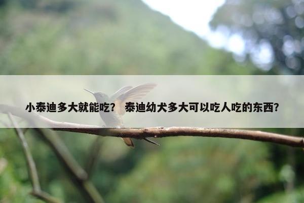 小泰迪多大就能吃？ 泰迪幼犬多大可以吃人吃的东西？