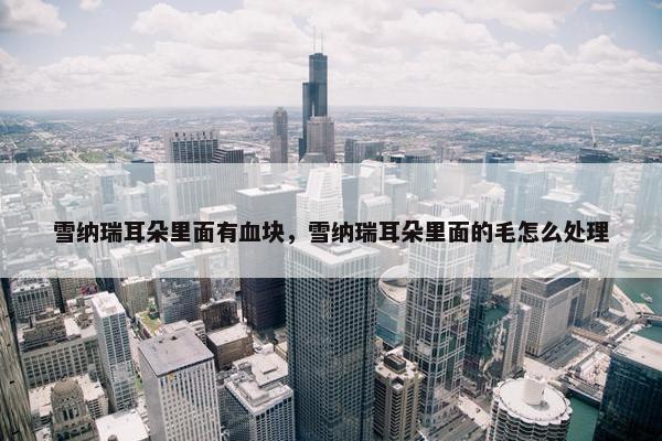 雪纳瑞耳朵里面有血块，雪纳瑞耳朵里面的毛怎么处理