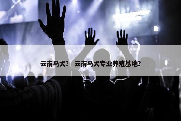 云南马犬？ 云南马犬专业养殖基地？