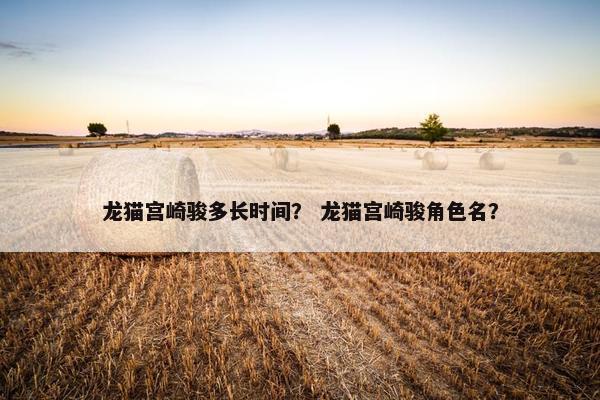 龙猫宫崎骏多长时间？ 龙猫宫崎骏角色名？