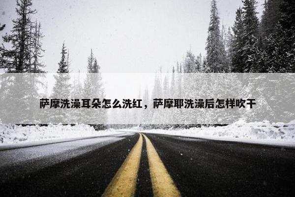 萨摩洗澡耳朵怎么洗红，萨摩耶洗澡后怎样吹干