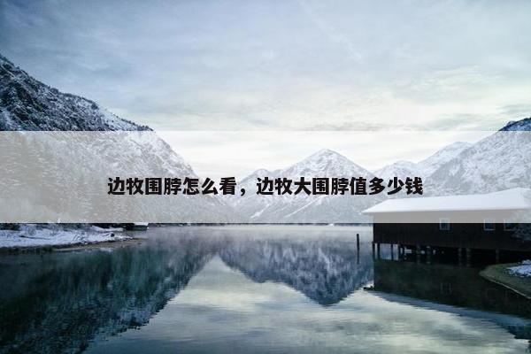 边牧围脖怎么看，边牧大围脖值多少钱