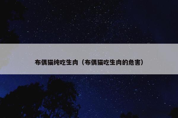 布偶猫纯吃生肉（布偶猫吃生肉的危害）