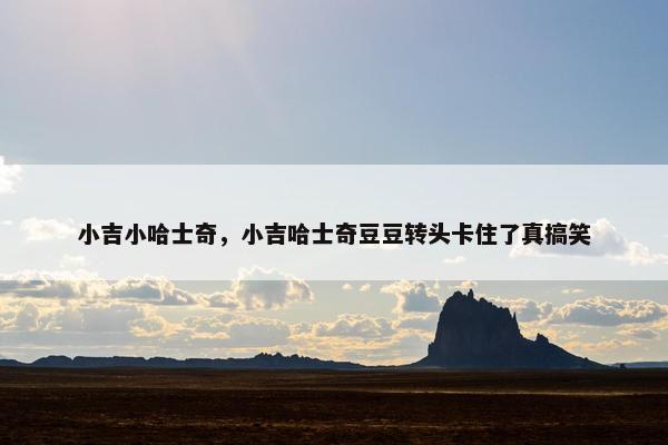 小吉小哈士奇，小吉哈士奇豆豆转头卡住了真搞笑