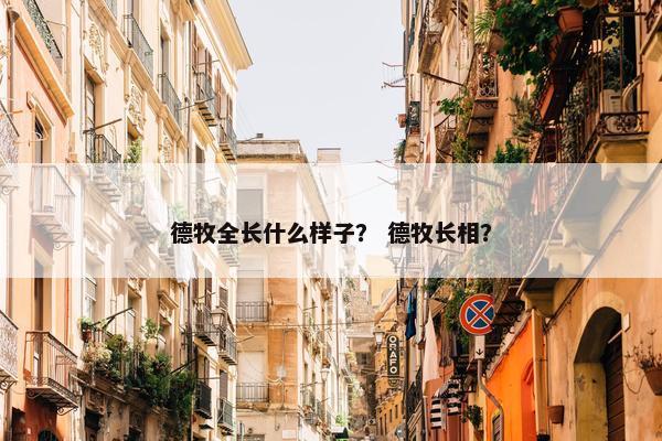 德牧全长什么样子？ 德牧长相？