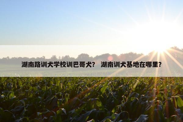 湖南路训犬学校训巴哥犬？ 湖南训犬基地在哪里？