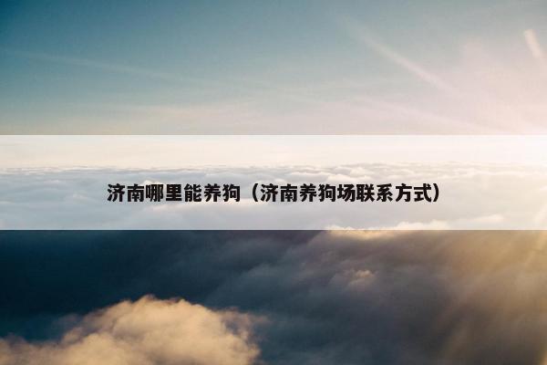 济南哪里能养狗（济南养狗场联系方式）