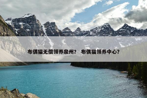 布偶猫无偿领养泉州？ 布偶猫领养中心？