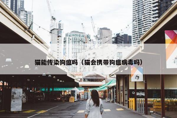 猫能传染狗瘟吗（猫会携带狗瘟病毒吗）