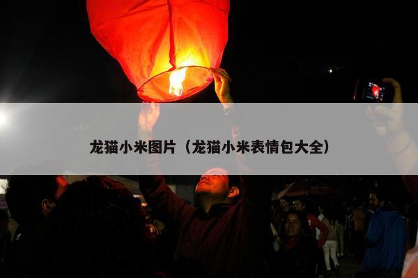 龙猫小米图片（龙猫小米表情包大全）