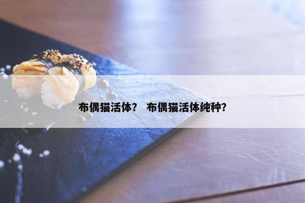 布偶猫活体？ 布偶猫活体纯种？