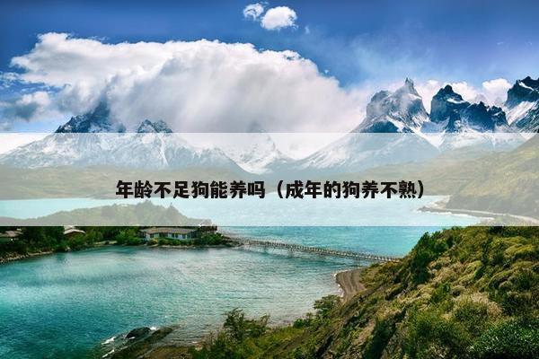 年龄不足狗能养吗（成年的狗养不熟）