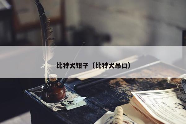 比特犬钳子（比特犬吊口）