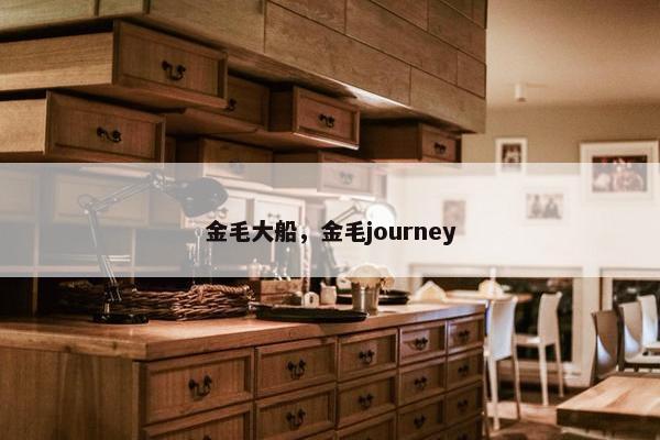 金毛大船，金毛journey
