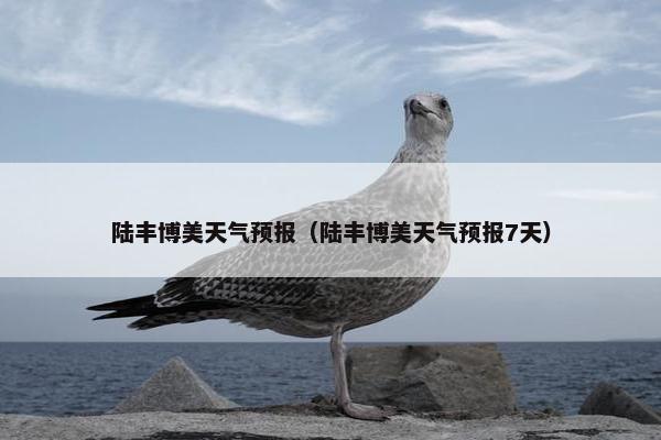 陆丰博美天气预报（陆丰博美天气预报7天）
