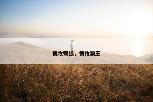 德牧雪狼，德牧狼王