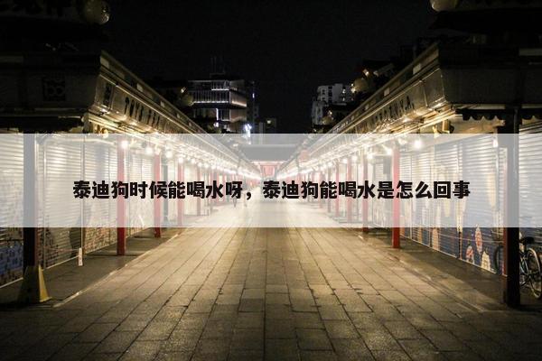 泰迪狗时候能喝水呀，泰迪狗能喝水是怎么回事
