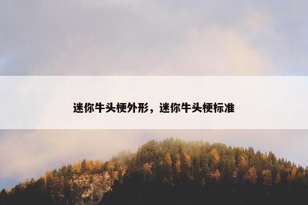 迷你牛头梗外形，迷你牛头梗标准