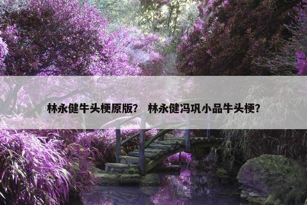林永健牛头梗原版？ 林永健冯巩小品牛头梗？