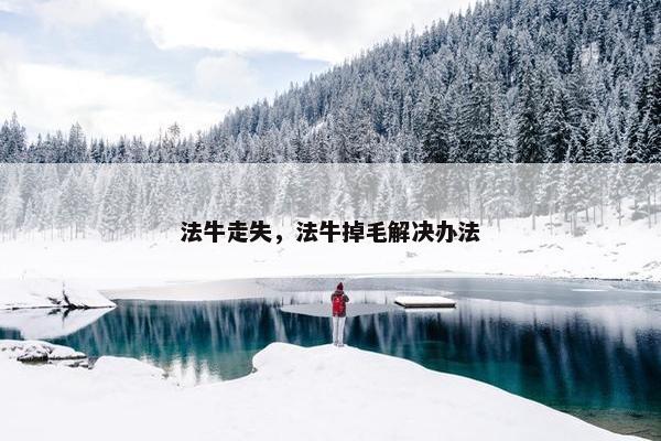 法牛走失，法牛掉毛解决办法