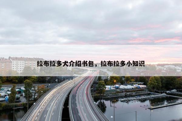 拉布拉多犬介绍书包，拉布拉多小知识
