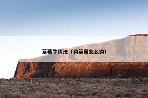草莓牛钩法（钩草莓怎么钩）