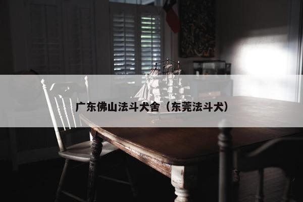 广东佛山法斗犬舍（东莞法斗犬）
