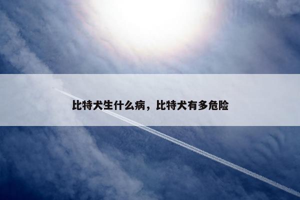 比特犬生什么病，比特犬有多危险