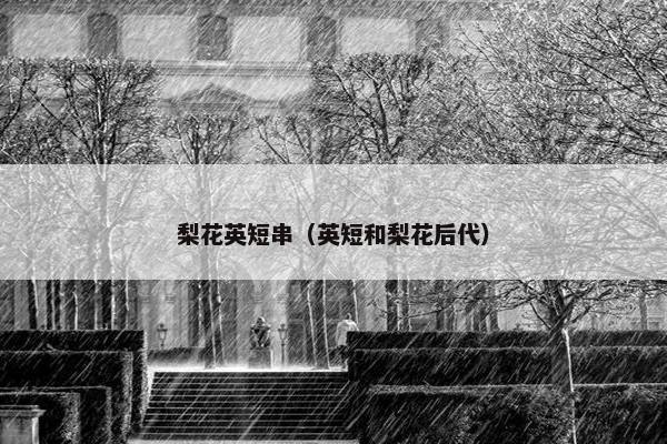 梨花英短串（英短和梨花后代）