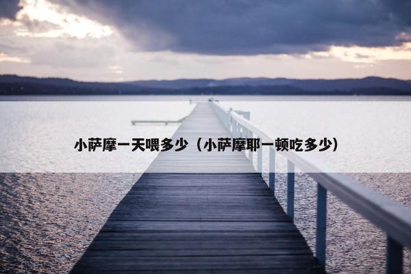 小萨摩一天喂多少（小萨摩耶一顿吃多少）