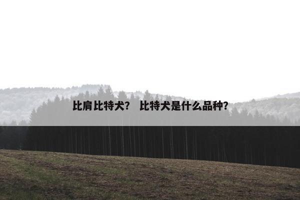比肩比特犬？ 比特犬是什么品种？