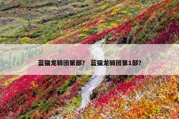 蓝猫龙骑团第部？ 蓝猫龙骑团第1部？