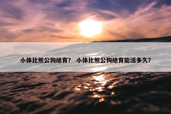 小体比熊公狗绝育？ 小体比熊公狗绝育能活多久？