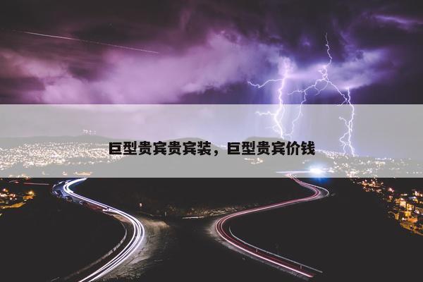 巨型贵宾贵宾装，巨型贵宾价钱