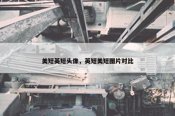 美短英短头像，英短美短图片对比