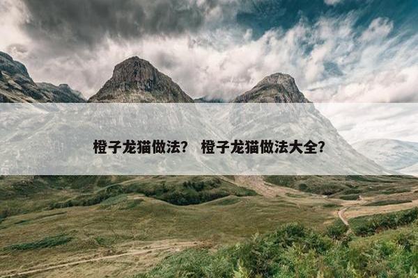 橙子龙猫做法？ 橙子龙猫做法大全？