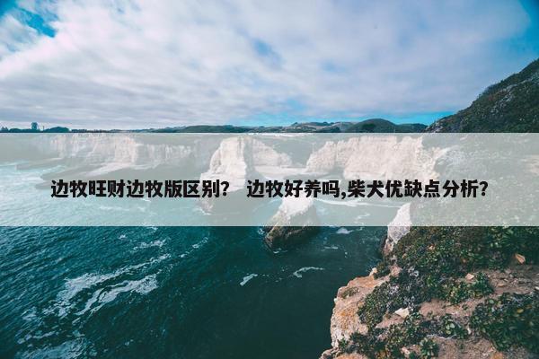 边牧旺财边牧版区别？ 边牧好养吗,柴犬优缺点分析？