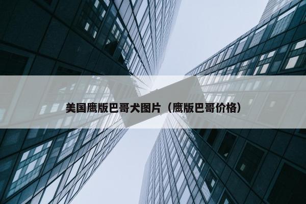 美国鹰版巴哥犬图片（鹰版巴哥价格）