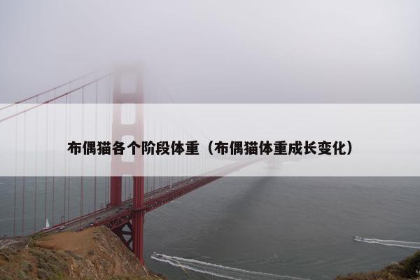 布偶猫各个阶段体重（布偶猫体重成长变化）