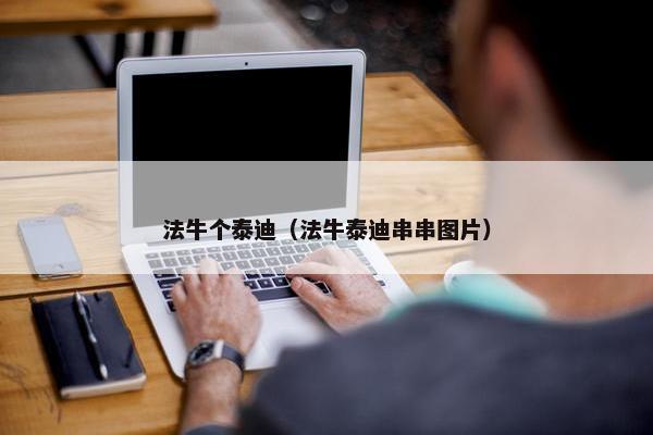 法牛个泰迪（法牛泰迪串串图片）